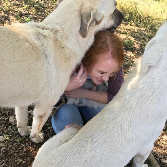 Meet your Posher, Rani - Picture 4 of 4